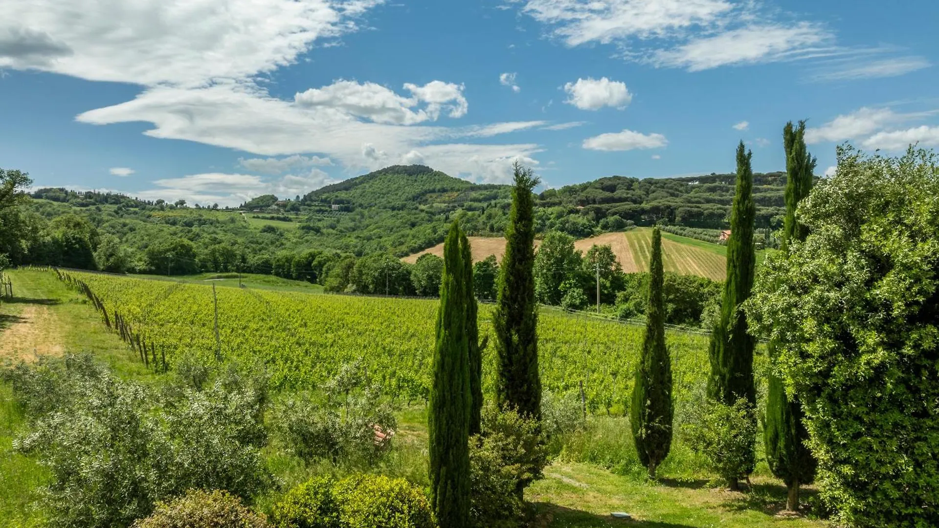 B&B - Podere Monti Montepulciano Stazione